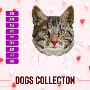 American Short hair Cat Embroidery Designs Cat Face, Pets Embroidery, Machine Embroidery Digital Designs Instant Download
