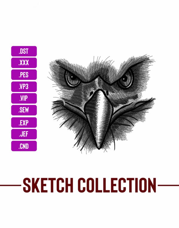 Eagle Embroidery Sketching Embroidery Designs Machine Embroidery Patterns – Digital Download