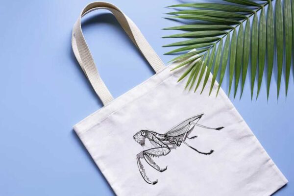 Grasshopper Embroidery Designs Machine Embroidery Patterns – Digital Download