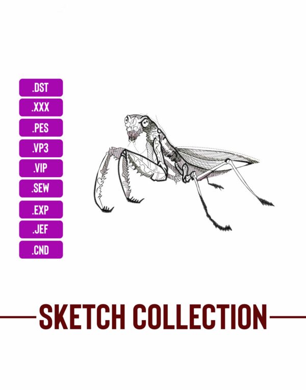Grasshopper Embroidery Designs Machine Embroidery Patterns – Digital Download